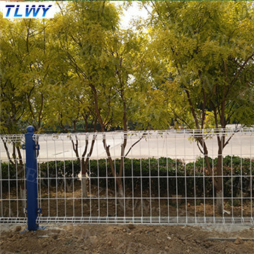 중국 안핑 TLWY 30년 공장 파우더는 복수선 안전 울타리를 코팅했습니다